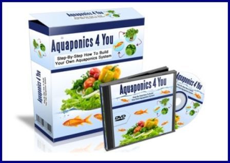 Aquaponics 4 You pricing